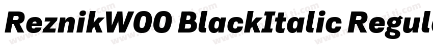 ReznikW00 BlackItalic Regular字体转换